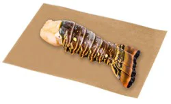 Previously Frozen Raw Color Added Lobster Tail 1 Count - 3 Oz