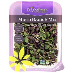 Brightfresh Micro Radish Mix - 1.75 Oz