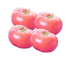 Tomatoes 6 Count Pack - Each