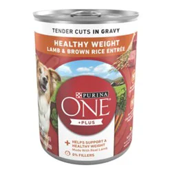 Purina One Tender Cuts Lamb & Brown Rice Wet Dog Food - 13 Oz