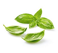slide 1 of 1, Basil Living - Each, 1 ct