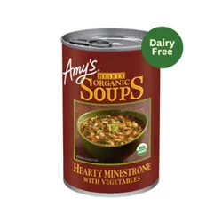 Amy's Hearty Minestrone With Vegetables Soup - 14.1 Oz