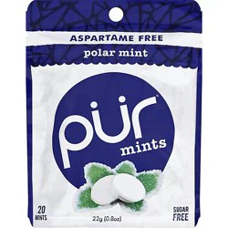 Pur Gum Mints Aspartame Free Polar Pouch - 20 Count