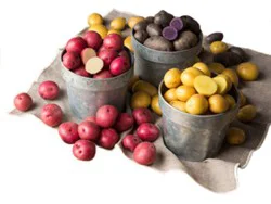 Potatoes Red/yellow/purple Medley Small