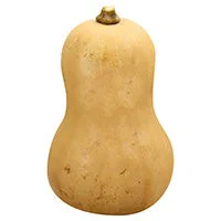 Butternut Squash - 26 Oz