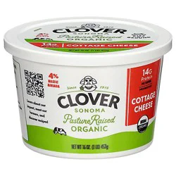 Clover Cottage Cheese Small Curd - 16 Oz