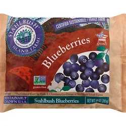 Stahlbush Island Farms Blueberries Whole - 10 Oz