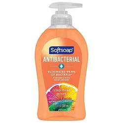Softsoap Antibacterial Liquid Hand Soap Pump Crisp Clean - 11.25 Fl. Oz.
