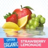 slide 8 of 8, Capri Sun Organic Strawberry Lemonade Ready-to-Drink Soft Drink, 10 - 6 fl oz Pouches, 10 ct; 6 fl oz