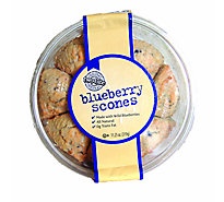 slide 1 of 1, Bakery Scones Blueberry Tub Two Bite - Each, 