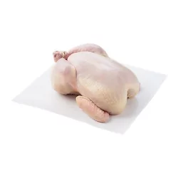 Signature Farms Chicken Bag Fryer