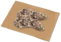 Scorton Creek Oysters - Lb
