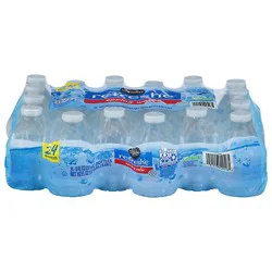 Signature Select Refreshe Spring Water - 24-8 Fl. Oz.