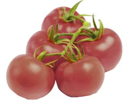 On The Vine Cabernet Tomato