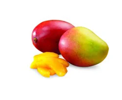 Mangos Kent Tree Ripened