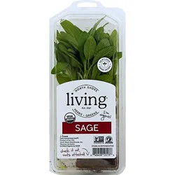 North Shore Sage Organic