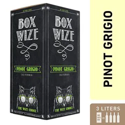 Box Wize Pinot Grigio Wine - 3 Liter