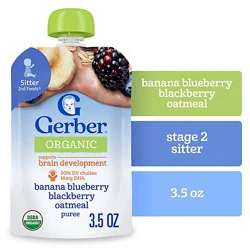 Gerber 2nd Foods Banana Blueberry Blackberry Organic Oatmeal Baby Food Pouch - 3.5 Oz