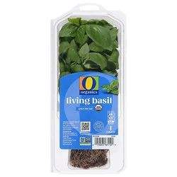 O Organics Basil Living - Each