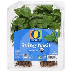 O Organics Living Basil 2 Count