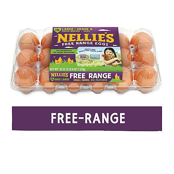 slide 1 of 1, Nellies Eggs Free Range Large Brown - 18 Count, 18 ct