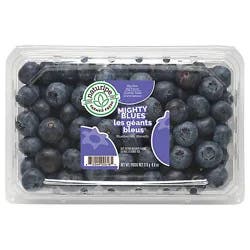 Blueberries Jumbo
