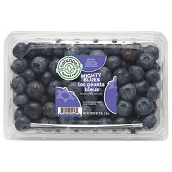 Jumbo Blueberries Prepacked - 9.8 Oz