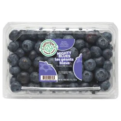 Jumbo Blueberries Prepacked - 9.8 Oz