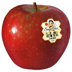 Sugarbee Apple