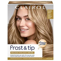 Nice N Easy Hair Clr Frost & Tip Original - Each