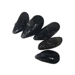 Seafood Counter Frsh Live Mussels Service Case - 2.00 Lb