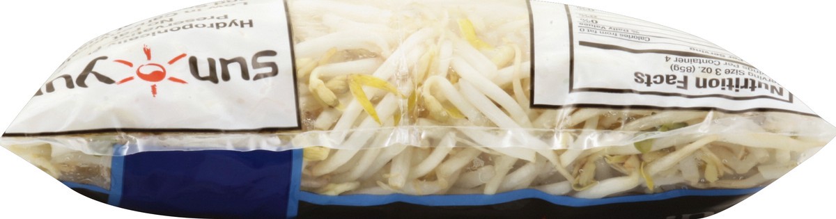 slide 2 of 5, Sun Yun Bean Sprouts - 12 Oz, 12 oz