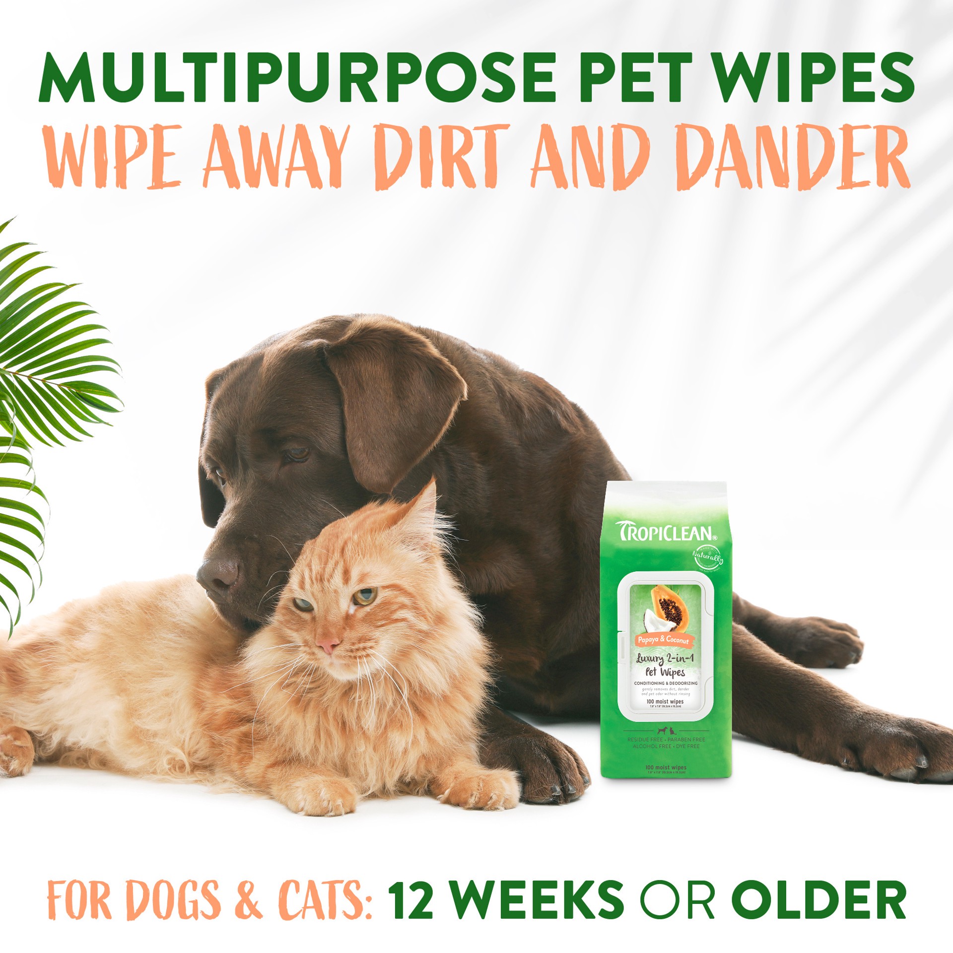 slide 5 of 10, TropiClean Papaya & Coconut Luxury 2-in-1 Pet Wipes, Count of 100, 100 ct