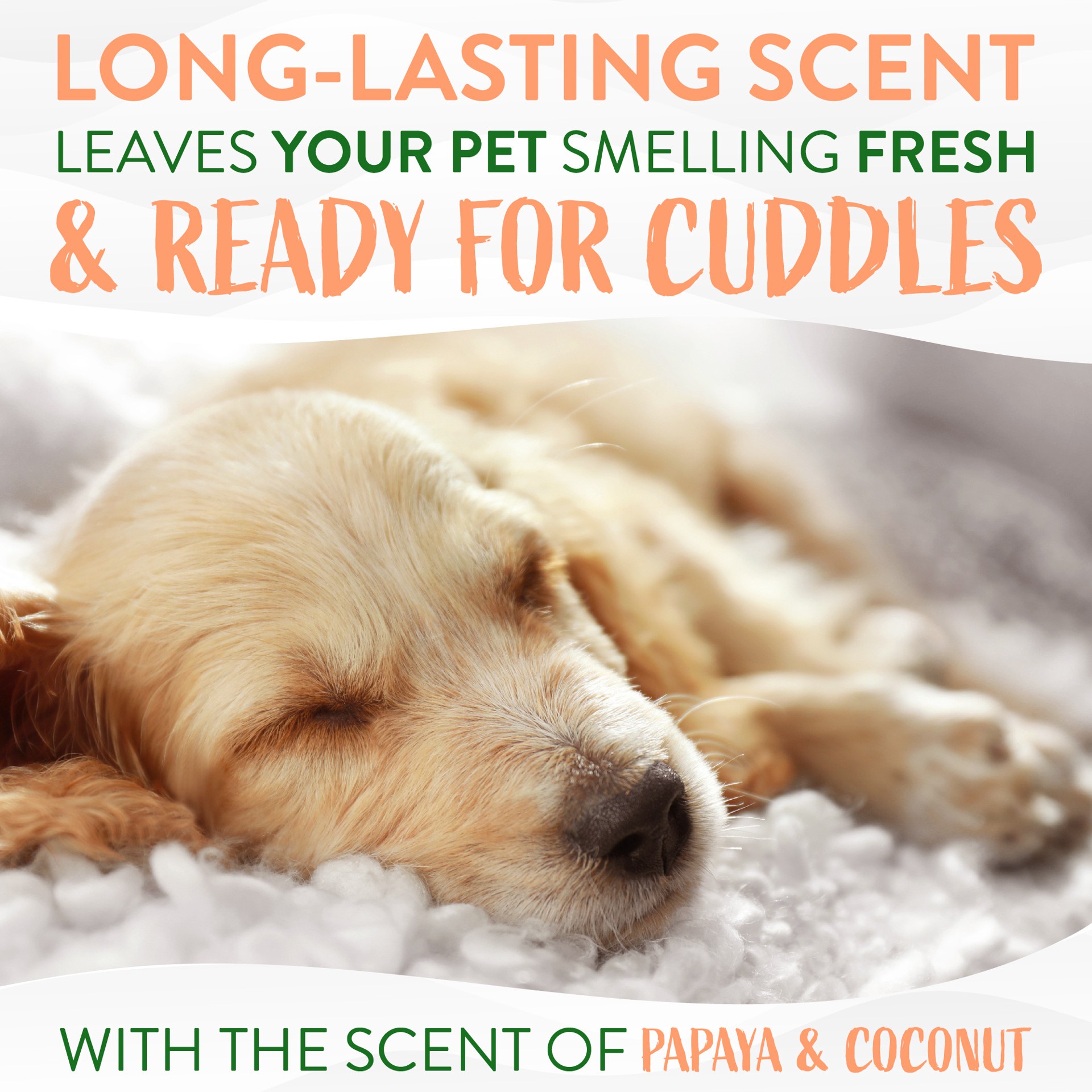 slide 6 of 10, TropiClean Papaya & Coconut Luxury 2-in-1 Pet Wipes, Count of 100, 100 ct