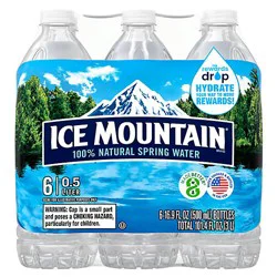 Ice Mountain Natural Spring Water No Flavor - 6-16.9 Fl. Oz.