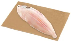 Fish Sole Grey Fillet Previously Frozen Service Case - 0.75 Lb