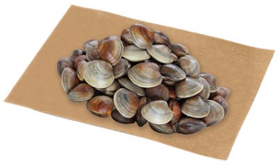 slide 1 of 1, Littleneck Clams Fresh - 1 Lb, per lb