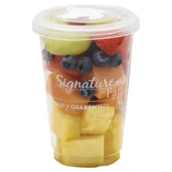 Fruit Salad Premium Small - 9 Oz