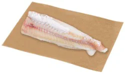 Pollock Fillet Fresh