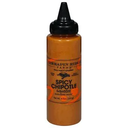Terrapin Ridge Farms Garnishing Squeeze Sauce Spicy Chipotle Bottle - 9 Oz
