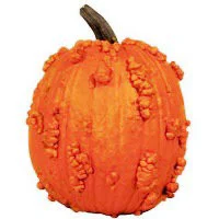 Knucklehead Pumpkin Large - Weight Between 16-24 Lb