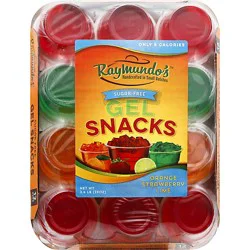 Raymundos Sugar Free Assorted Gel - 12-3.25 Oz