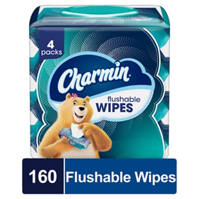 slide 1 of 1, Charmin Flushable Wipes 4 Packs - 160 Count, 160 ct