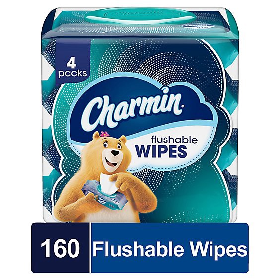 slide 1 of 1, Charmin Flushable Wipes 4 Packs - 160 Count, 160 ct