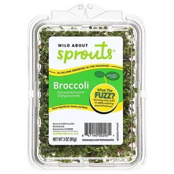 Wild About Sprouts Bold Broccoli - 3 Oz