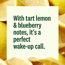 Suja Organic Energy Blueberry Lemon Shot - 2 Fl. Oz.