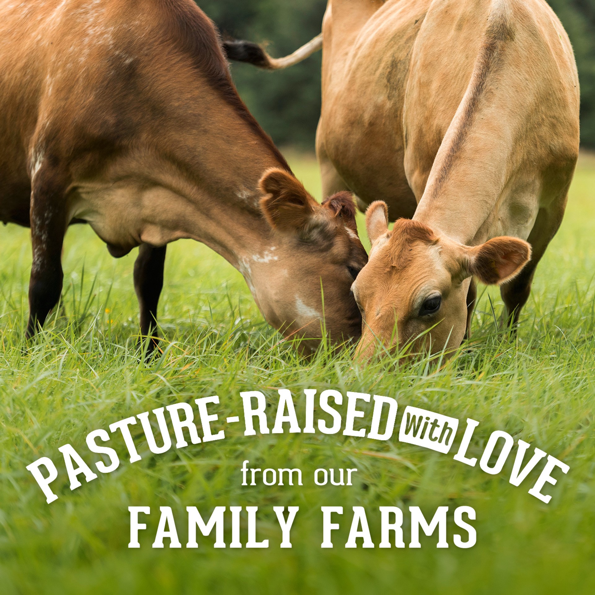 slide 8 of 8, Organic Valley Buttermilk Cultured Lowfat 1 Quart - 946 Ml, 32 fl oz