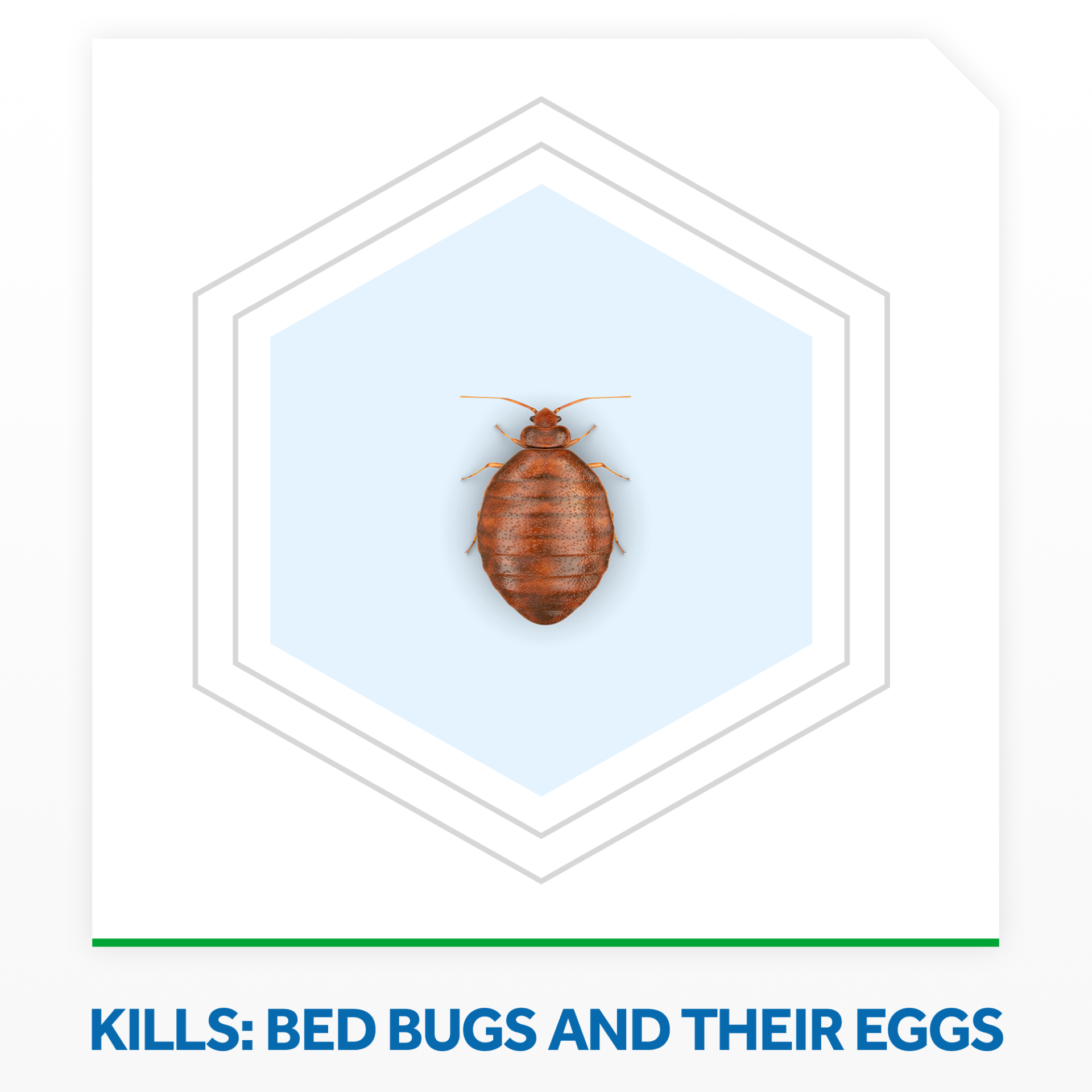 slide 6 of 7, Raid Bed Bug Foaming Spray, Indoor Insecticide Kills Bed Bugs & Eggs, 16.5 oz, 16.5 oz