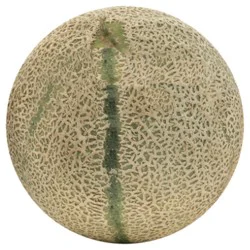Charantais Melon