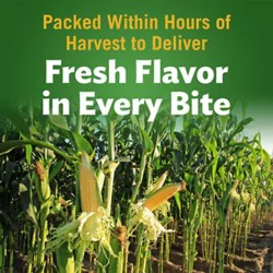 Del Monte Fresh Cut Golden Sweet Whole Kernel Corn - 4 - 15.25 Oz